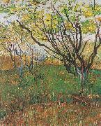 Vincent Van Gogh Flowering Orchard Spain oil painting artist